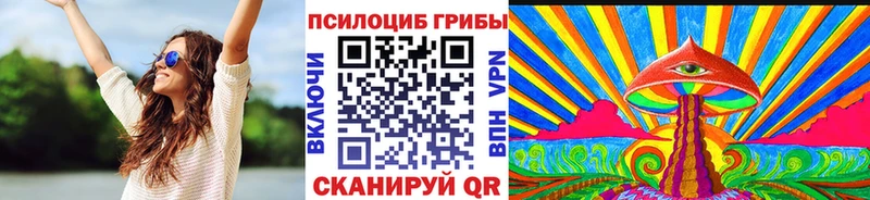 купить   Звенигово  Галлюциногенные грибы Psilocybine cubensis 